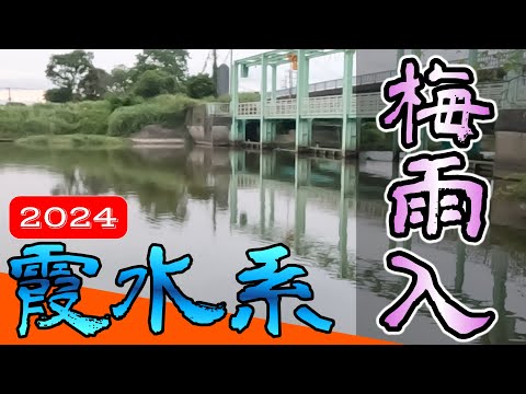 【バス釣り】【霞ヶ浦】横利根川_常陸利根川_新利根川_梅雨入バスを求めて