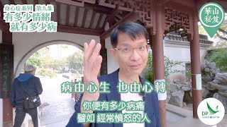 《華山秘笈》~ 身心症系列 第九集：有多少情緒，就有多少病