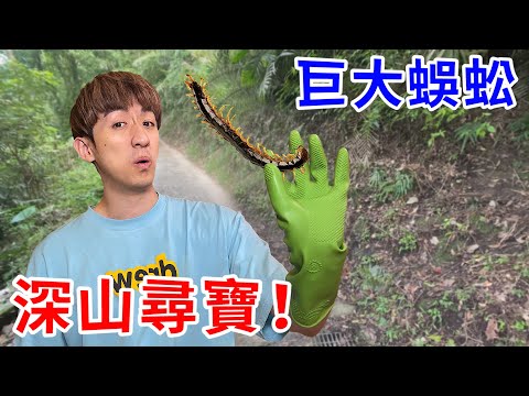 抓超巨型蜈蚣居然可賺上百萬！？直衝深山抓起來！【好棒Bump】