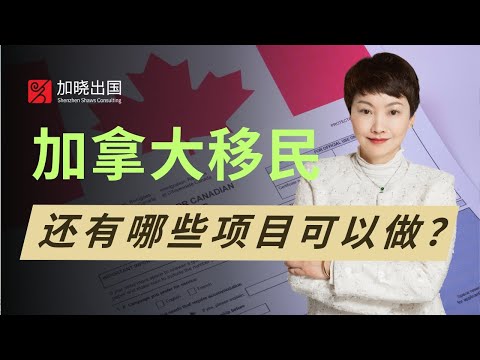 加拿大移民，还有哪些项目可以做？