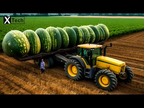 19 Modern Agriculture Machines That Are At Another Level