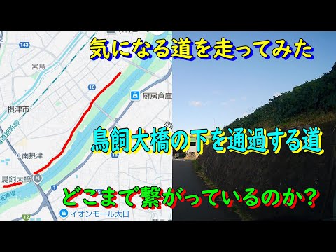 気になる道を走ってみた　鳥飼大橋の下を通過する道  どこまで繋がっているのか?