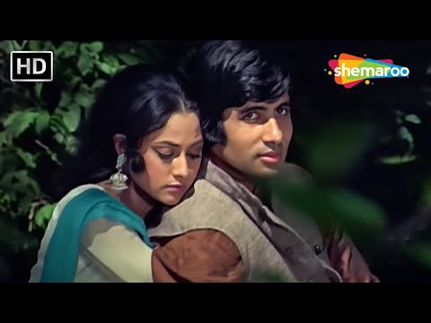 Patta Patta Boota Boota Haal Hamara Jaane Na | Ek Nazar(1972) | Amitabh Bachchan |Jaya Bachchan Hits