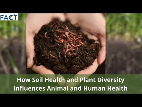 How Soil Health and Plant Diversity Influences Animal and Human Health