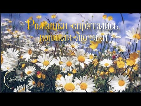 Ромашки.." старые песни о главном под гитару (cover)