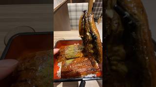 うなぎマニア絶賛！吉野家の鰻重が絶品すぎる..  #shorts #short #shortvideo #viral #youtubeshorts