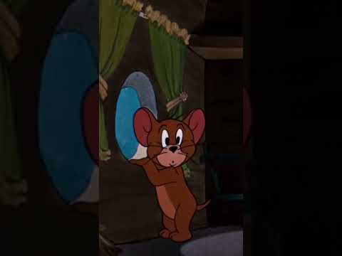 Tom and Jerry #tomandjerry #funny #viralvideo #catlover #doglover