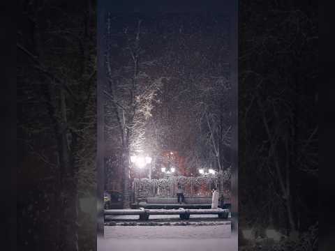 [Snowfall] Amazing World | Natural Video Clip #nature #beatyofnature #snowfall