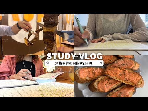 【VLOG】息抜きしつつ勉強する5日間🍖｜暑さに負けずがんばろう｜30代OL STUDY VLOG📕