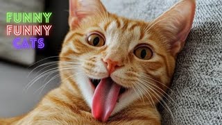 Cat Funny Videos 😹😂  2 Hour Compilation Of Fun Cat Videos That Will Make You Laugh And Find Peace 😺😂