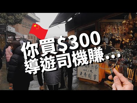 內地自由行心得📢導遊司機推銷可以賺OO？景點欄柵陣太瘋狂？網上開放時間唔準確🧐（中文字幕）