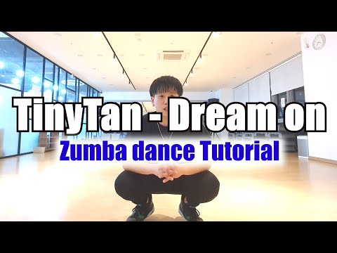 TinyTAN(BTS) - Dream ON KPOP ZUMBA tutorial / 다이어트 댄스 FIT DANCE WORKOUT