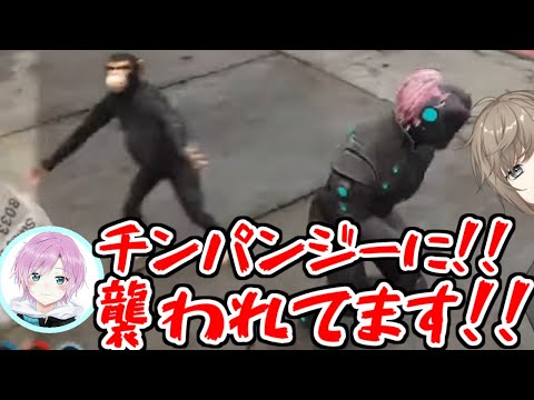 神（叶）に悪戯される夕陽リリ【にじGTA】