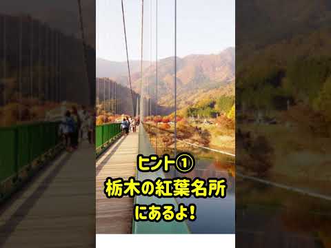 日本の吊り橋 11月号に登場したあの名吊り橋は！？無料で読める！月刊まっぷるより #Shorts #まっぷる #月刊まっぷる #吊り橋 #日本の吊り橋 #もみじ谷大吊橋 #栃木県