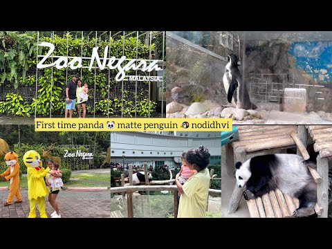 ಯಾಕೆ ಪಾಂಡ ಅಂಥ ಹೆಸರು ಬಂತು? Black and white colour ಯಾಕೆ ಇದೆ || Zoo Negara Malaysia🇲🇾eu full enjoyed