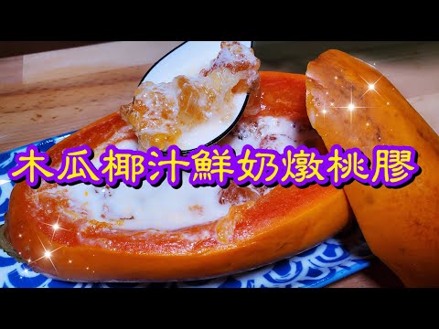 木瓜椰汁鮮奶燉桃膠🍼 Papaya milk with peach gum| 請訂閱支持😉