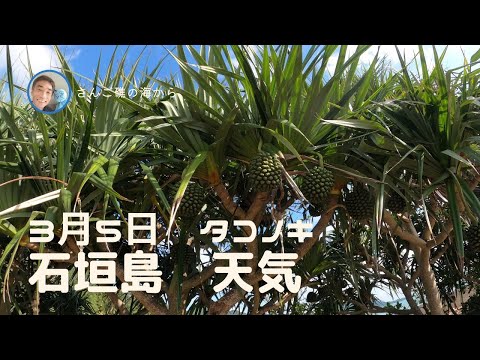 【石垣島天気】3月5日10時ごろ。15秒でわかる今日の石垣島の様子。