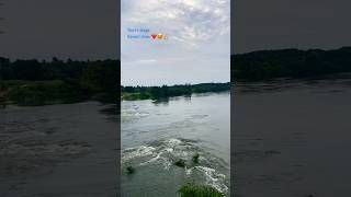 Kaveri River🌧️☔️😍👌🏼 #Mysore#travel #nature #love #mysorediaries #River#monsoon2024😍