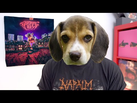 Fat Dog - WOOF. ALBUM REVIEW