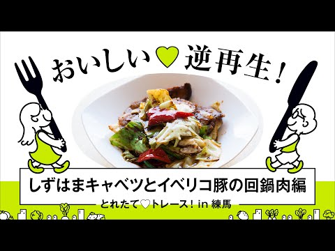 とれたてトレース! in 練馬　しずはまキャベツとイベリコ豚の回鍋肉編