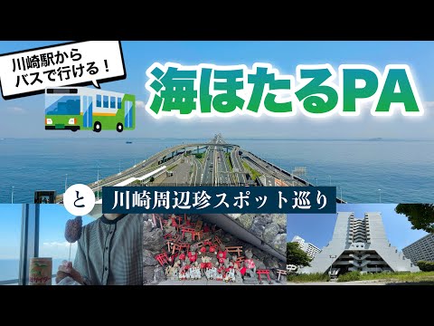 【千葉】1人でバスで行く！絶景の海ほたるPAと珍スポット巡り🚌