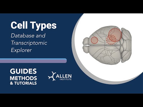 Cell Types Database & Transcriptomic Explorer | Tutorial