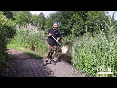 Pond Dipping Guide - Staffordshire Wildlife Trust with OASE UK