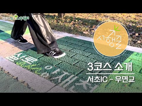 [서행길 3코스] 숲길 물길 따라 유유자적 즐기는 양재천 산책길🌲🚶‍♀️‍➡️🌲#서초행복길#걷기좋은곳