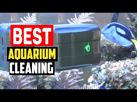 ✅The 10 Best Aquarium Cleaning Supplies of 2023