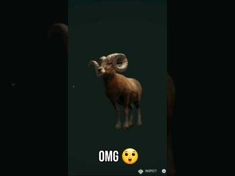 First Diamond Bighorn Sheep 💎! #likes #gaming #bighornsheep #cotw #callofthewildgameplay