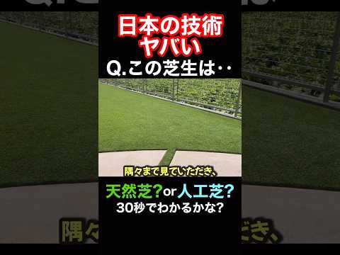 【ほぼ間違える】これは天然芝?人工芝?