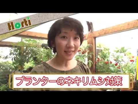 プランターのネキリムシ対策