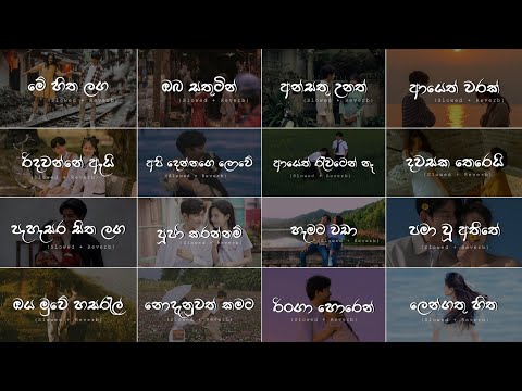 Manoparakata Sindu |😫❤️| මතක අවුස්සන සිංදු | Mind Relaxing (Slowed + Reverb) Collection Playlist 26