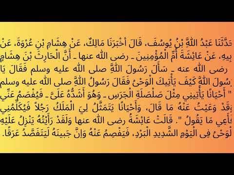 How is the Divine Inspiration revealed on Allah's Messenger ﷺ,Hadith