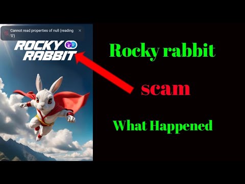 Rocky Rabbit Cannot read properties of null (reading '0' )| Rocky rabbit not opening today 15 August