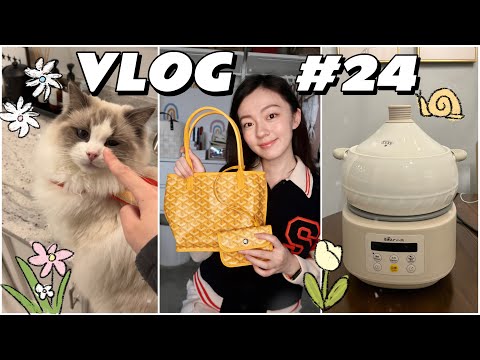 VLOG 24 花胶汽锅鸡过元宵| 二猫一鸟日常 | 欧洲之行购物分享 Goyard