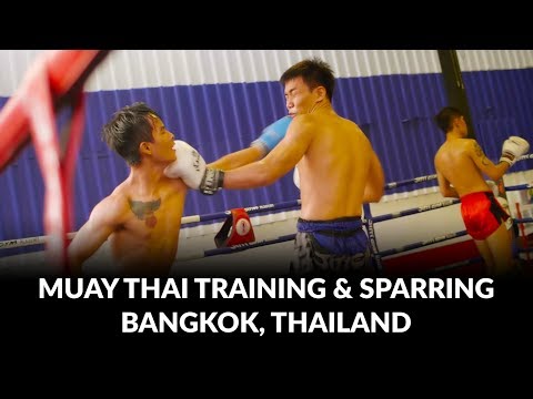 Muay Thai Design - Training & Sparring