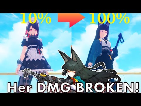 Hoshimi Miyabi IS BROKEN!! Don't Miss Allen Joe VS Hoshimi Miyabi DPS Test~ | RaidenMiko