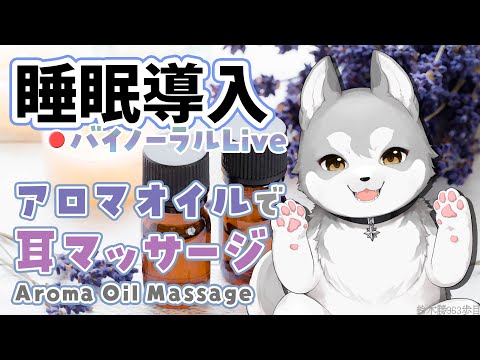 [ASMR] Thorough aroma oil massage for sound sleep - Sep. 4, 2024 [Nijisanji/Masaru Suzuki]