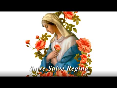 Salve Regina (글곡,편곡 이용현 신부) 성모성월, The Present Digital single No.41