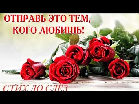 ТРОГАТЕЛЬНАЯ ИСТОРИЯ ДО СЛЁЗ 🌹 МУЗЫКАЛЬНАЯ ВИДЕООТКРЫТКА-СТИХ ДО СЛЁЗ!