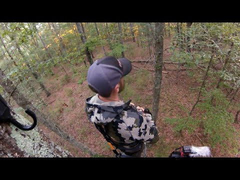 Deer Hunting 2021 | South Carolina Public Land | Buck Comes To Grunt Call #bowhunting #deerhunting