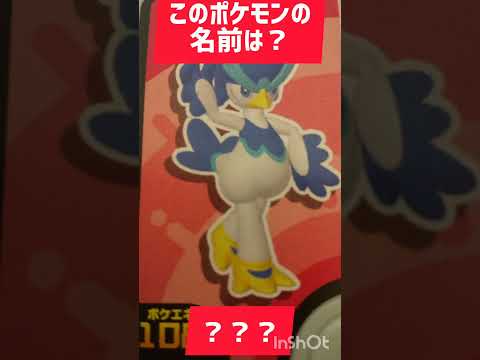 だーれだ！？(ドットの手持ち)#shorts #shortvideo #youtubeshorts #ポケモン #ポケモンフレンダ #ポケモンカード #pokemon #pokemon #quiz