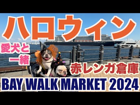 愛犬と一緒に楽しむハロウィンドッグパーティー 【 フレンチブルドッグ french_bulldog 】 BAY WALK MARKET 2024 横浜赤レンガ瓦倉庫