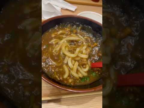 🇯🇵福岡空港カレーうどん&明太子飯✈️