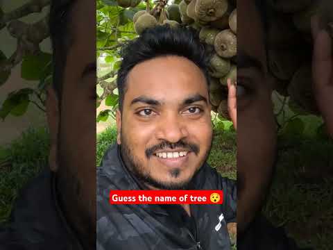 Guess the name of plant. Wayanad bansura lake . #shorts #trending #travelvlog #keralatourism