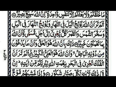 সূরা লোকমান || Surah Luqman || سورةلقمن /হাফেজ ক্বারী আবু রায়হান/Holy Quran Tilawat