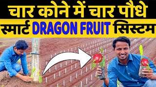 ड्रैगन फ्रूट खेती | DRAGON FRUIT PLANTATION - FULL INFORMATION | INDIAN FARMER