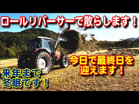 【トラクター】今年最後の牧草地牧草刈り！ロールリバーサーで散らして終了！