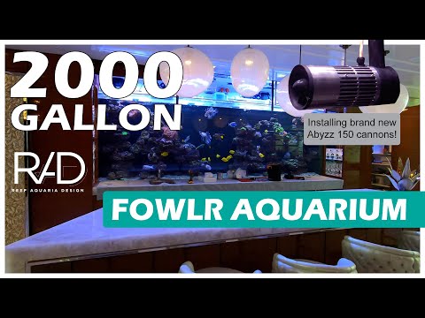 2000 GALLON FOWLR AQUARIUM IN MIAMI BEACH BY REEF AQUARIA DESIGN - SOFT CORALS, FISH AND ANEMONES!